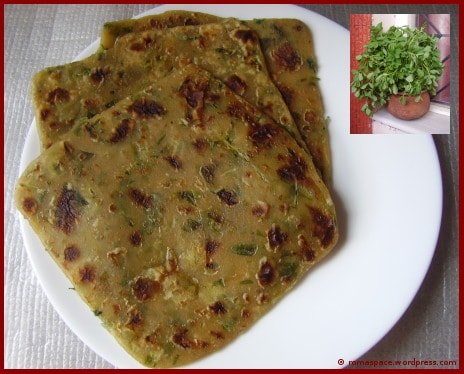 Methi Paratha
