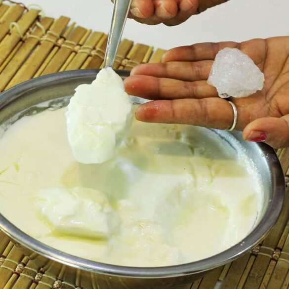 Dahi in 2 Hours - Marathi Recipe