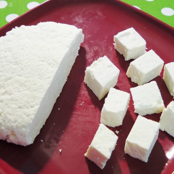 Homemade Paneer